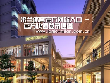 案例展示一(图1)