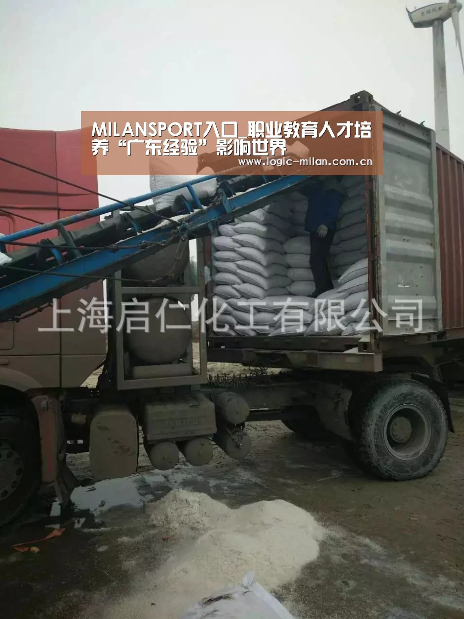 MILANSPORT入口_职业教育人才培养“广东经验”影响世界(图2) 米兰体育app官网