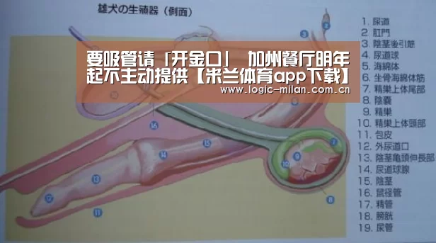 米兰体育app网址
