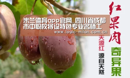 米兰体育app官网_四川省成都市中职校将设特色专业名师工作室(图1) 米兰体育app网址