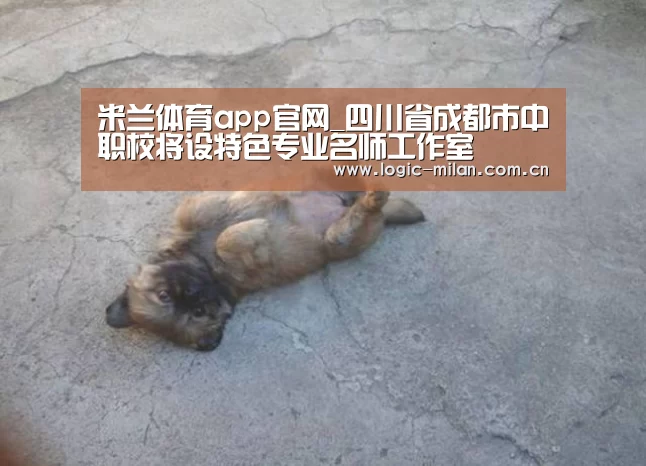 米兰体育app官网_四川省成都市中职校将设特色专业名师工作室(图2) 米兰体育app官网